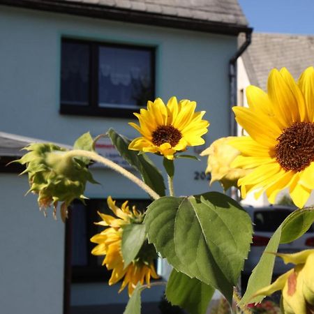 Ferienwohnung Lippmann Grosshartmannsdorf Exterior foto
